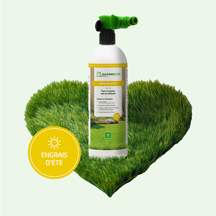 GAZONBLITZ™ - ENGRAIS D´ÉTÉ LIQUIDE