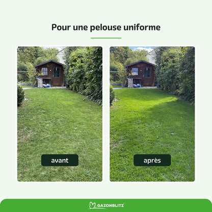 GAZONBLITZ - ENGRAIS CRISTALLIN D`ÉTÉ KIT