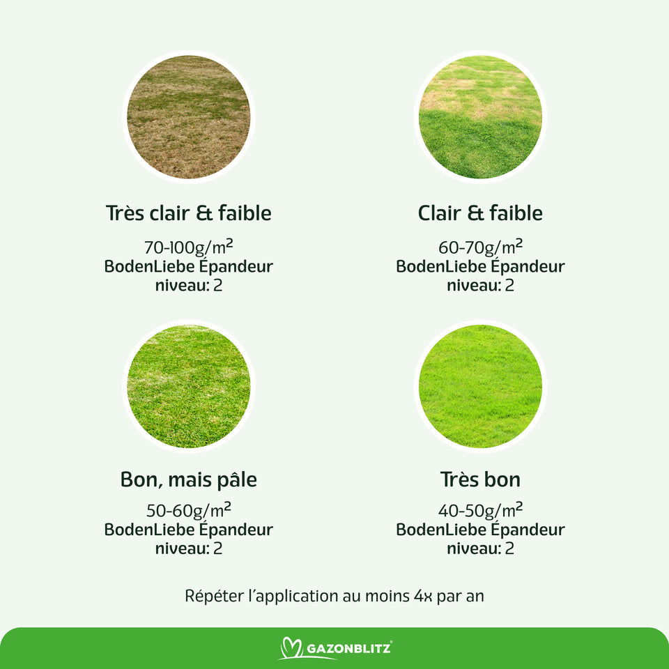 Kit de printemps d'engrais cristallin GAZONBLITZ™ 