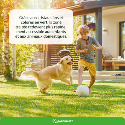 Kit de printemps d'engrais cristallin GAZONBLITZ™ 