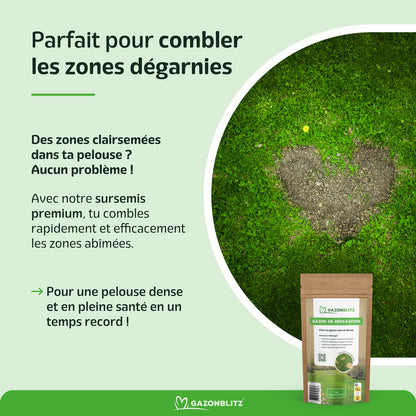 GAZONBLITZ™ - GAZON DE RÉPARATION