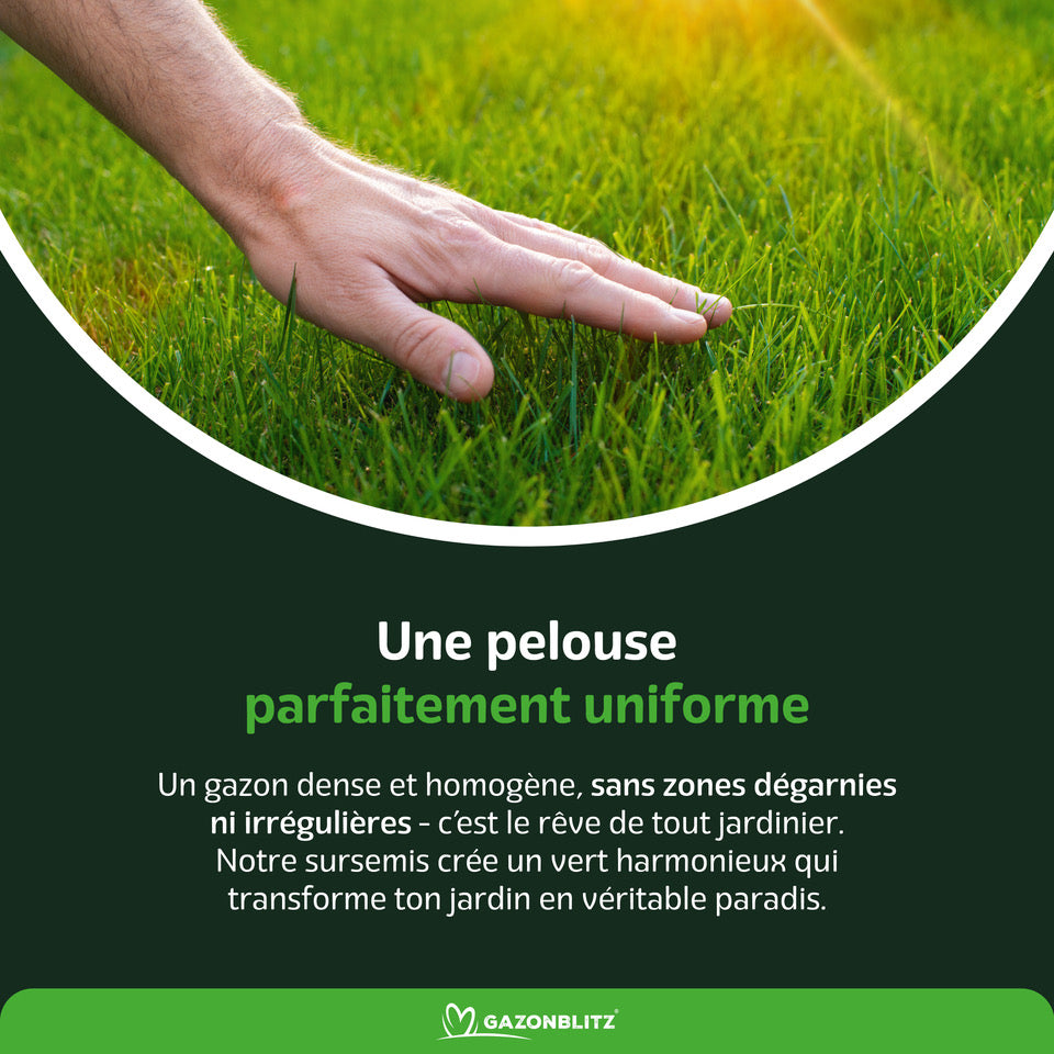 GAZONBLITZ™ - GAZON DE RÉPARATION