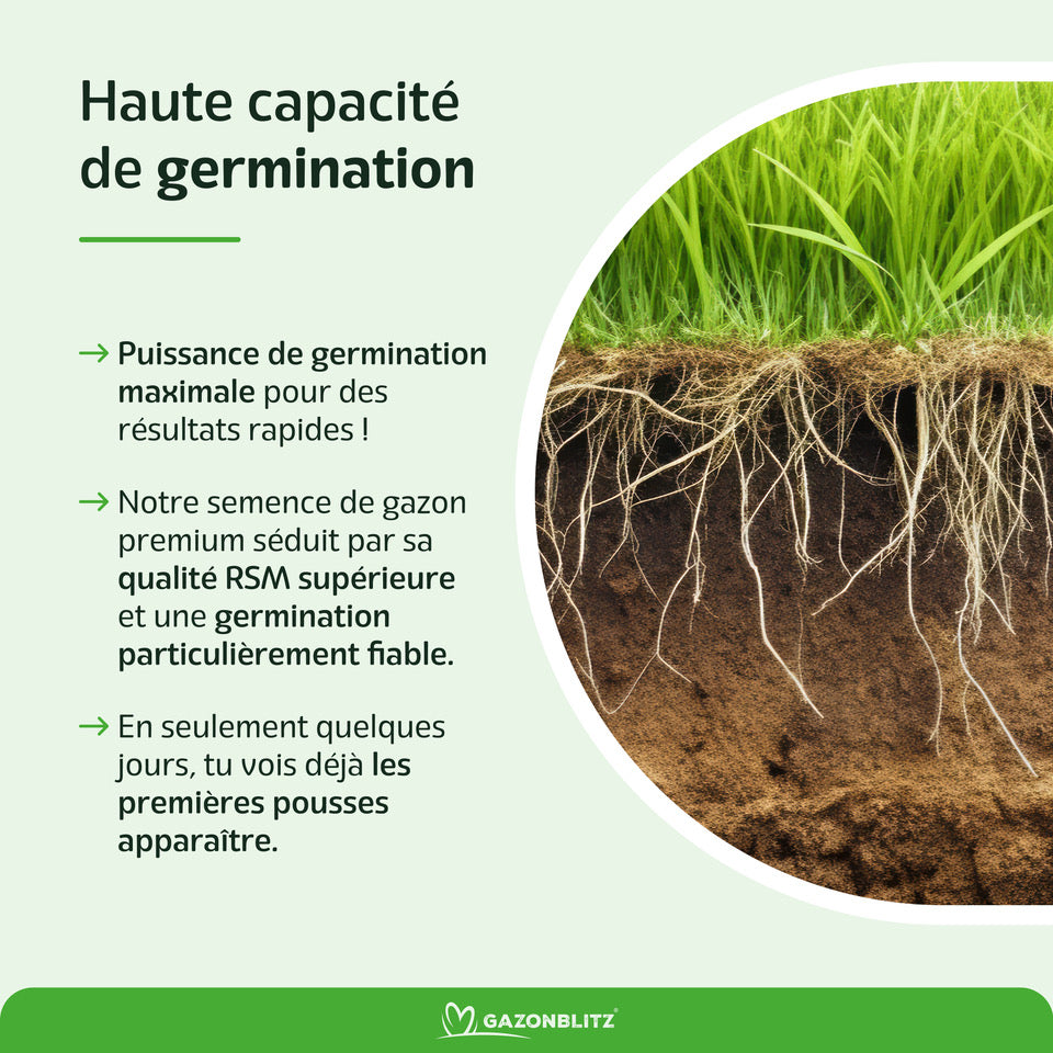 GAZONBLITZ™ - GAZON DE RÉPARATION